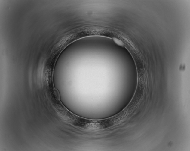 X0000101220119200806271457