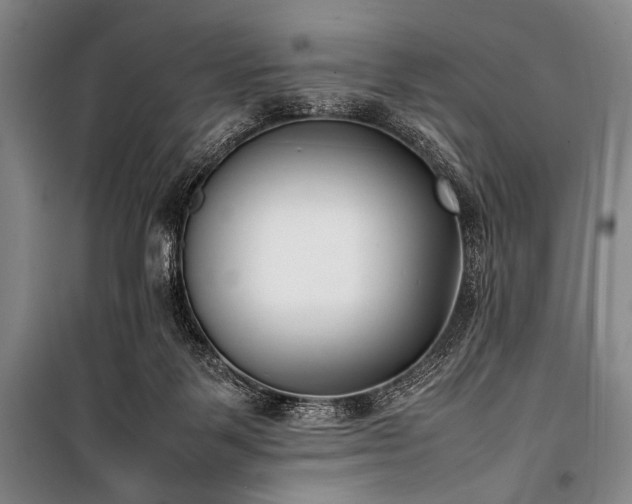 X0000101220123200806271457