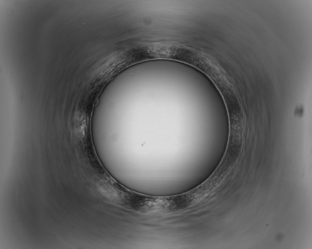 X0000101220125200806271457