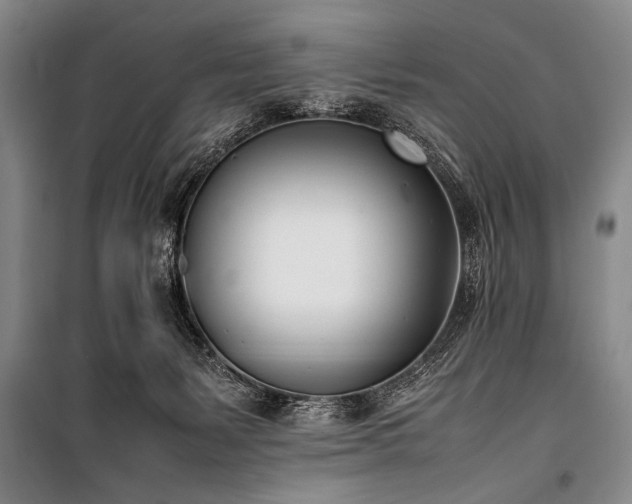X0000101220127200806271457