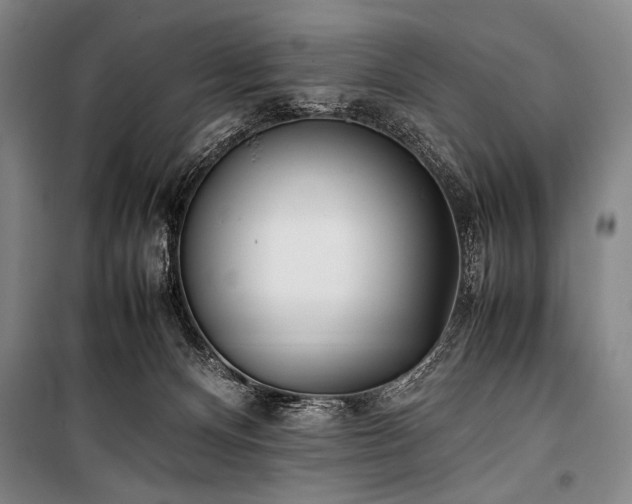 X0000101220128200806271456