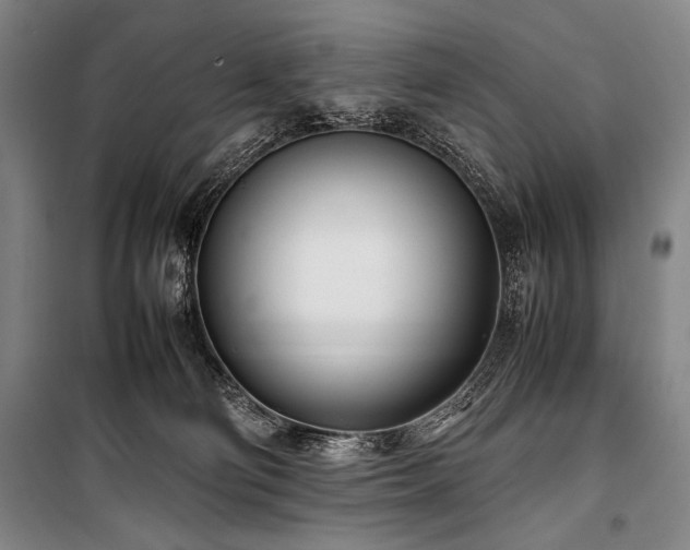 X0000101220130200806271456