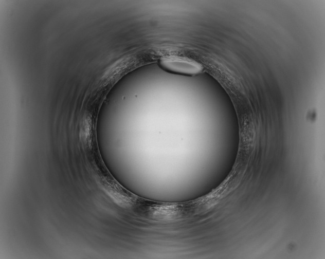 X0000101220132200806271456