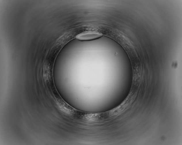 X0000101220136200806271456