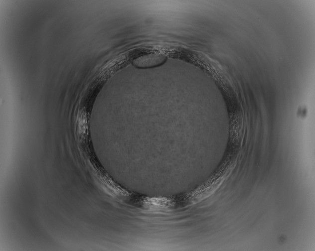 X0000101220137200806271456