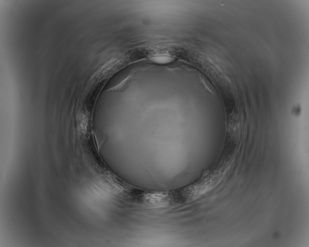 X0000101220139200806271456