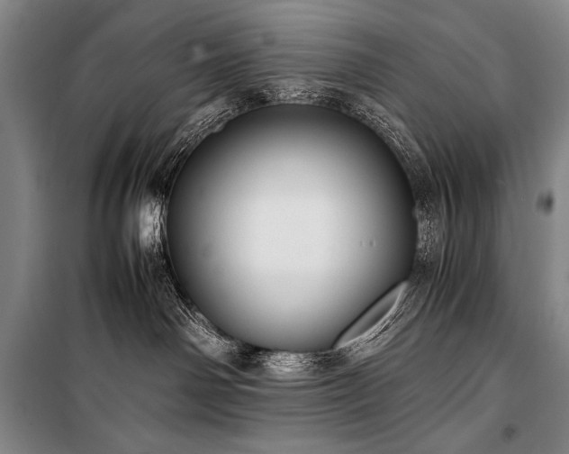 X0000101220142200806271456