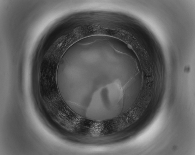 X0000101220143200806271456