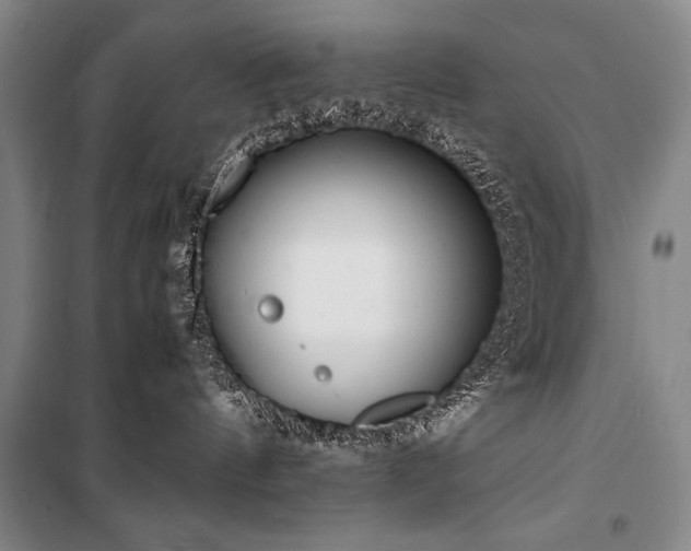 X0000101220144200806271456