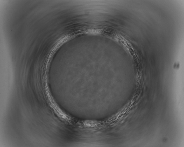 X0000101220145200806271456