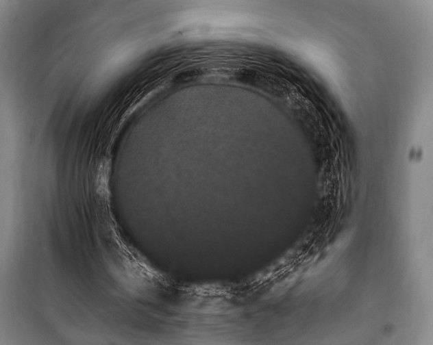 X0000101220146200806271456