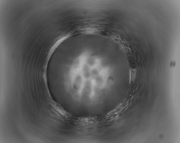 X0000101220147200806271456