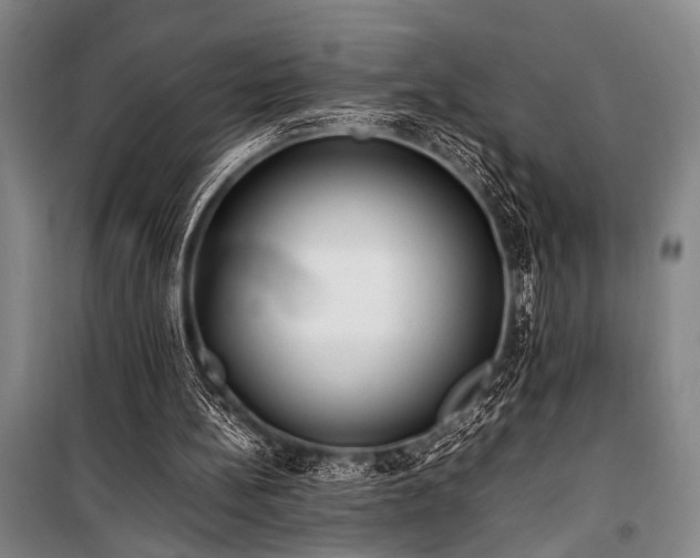 X0000101220148200806271456