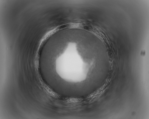 X0000101220149200806271456