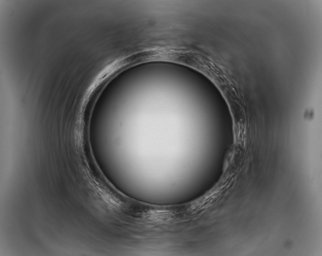 X0000101220150200806271456
