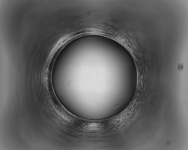 X0000101220151200806271456