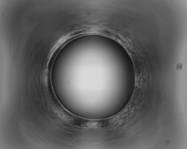 X0000101220152200806271456