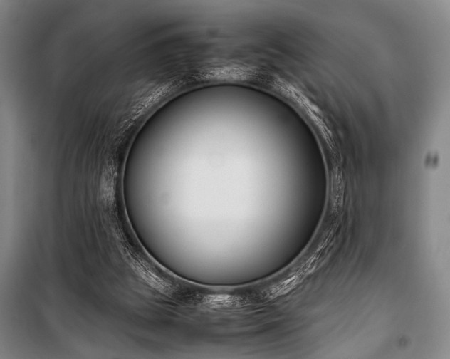 X0000101220153200806271456
