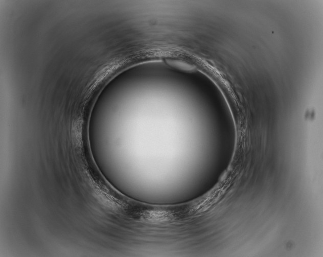 X0000101220154200806271456