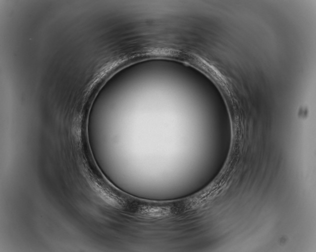 X0000101220155200806271456