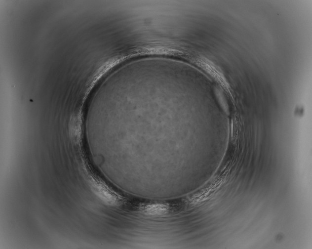 X0000101220156200806271456
