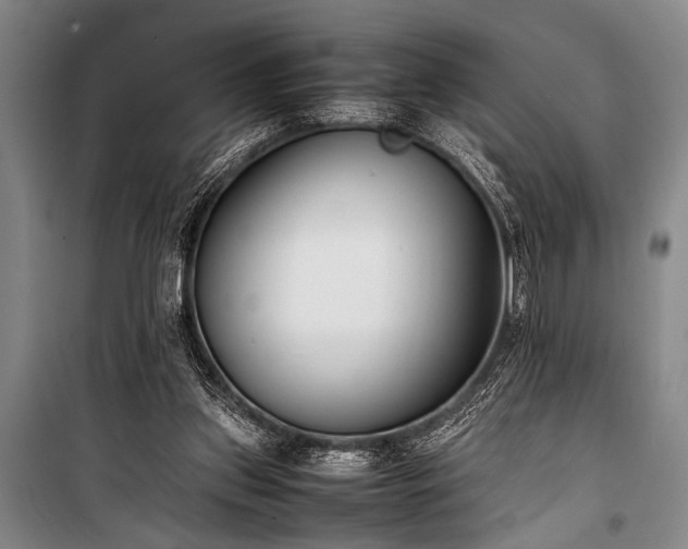 X0000101220157200806271456