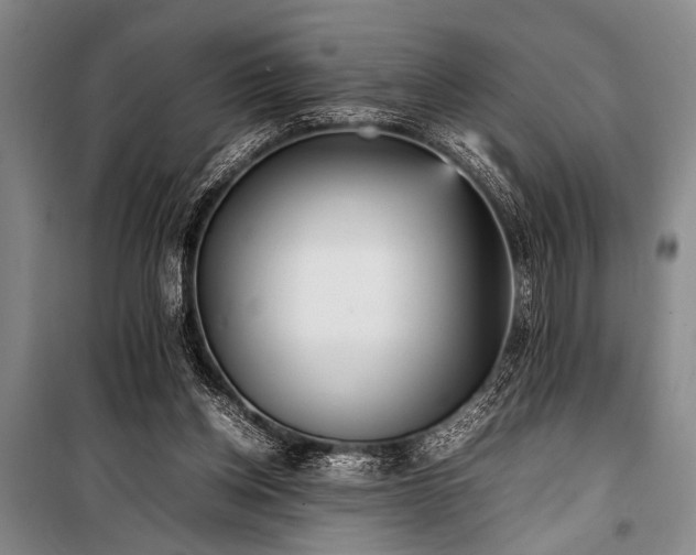 X0000101220158200806271456