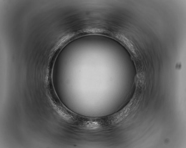 X0000101220159200806271456