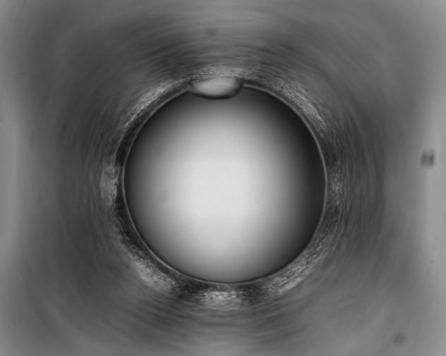 X0000101220160200806271456