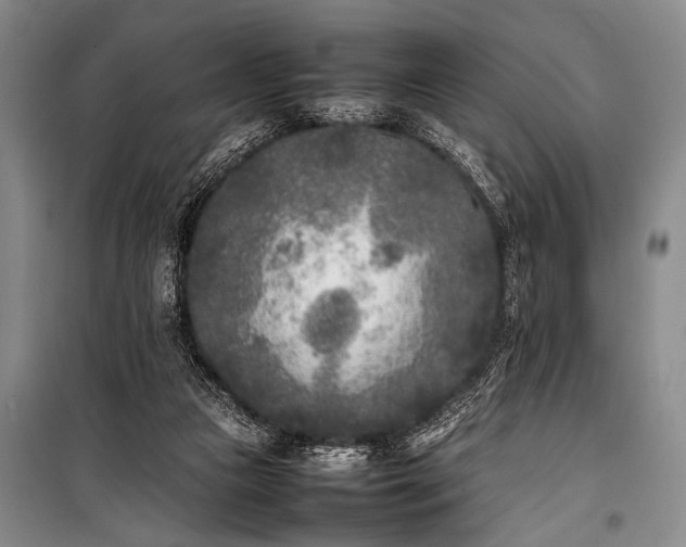 X0000101220161200806271456