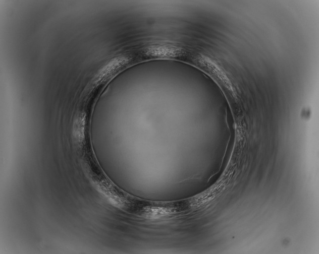 X0000101220163200806271456