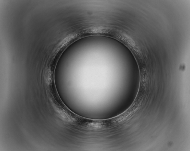 X0000101220164200806271456