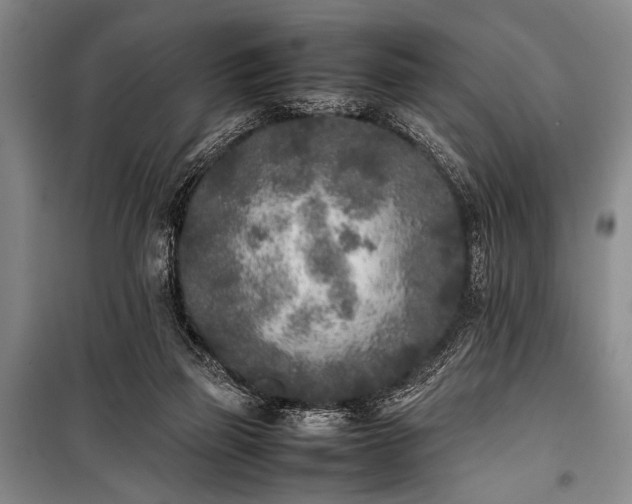 X0000101220165200806271456