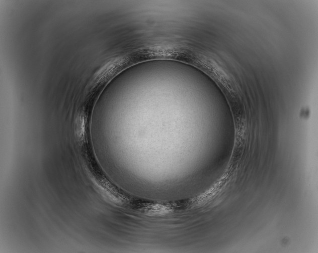 X0000101220166200806271456