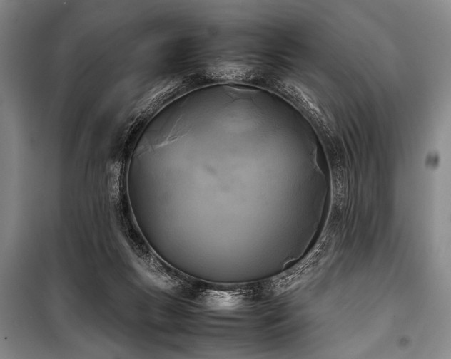 X0000101220167200806271456