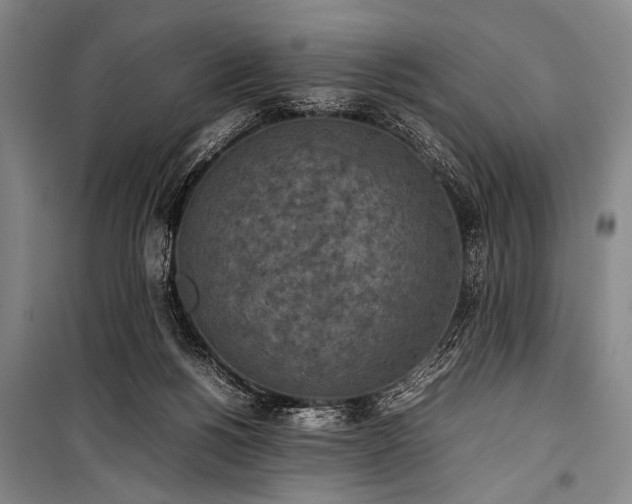X0000101220168200806271456