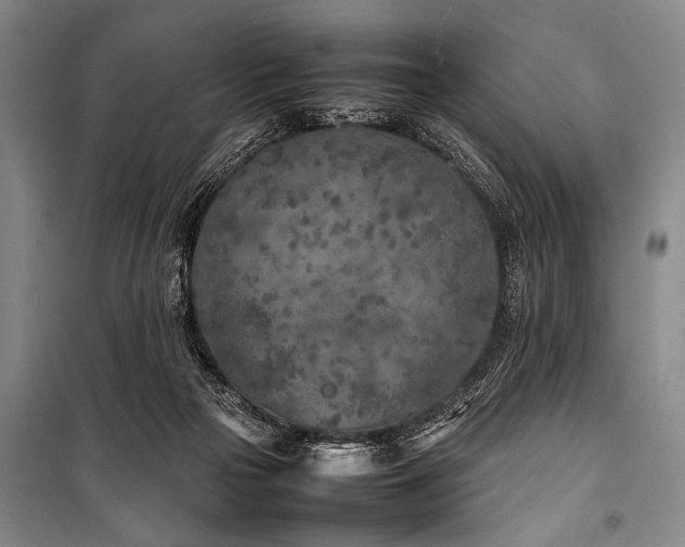 X0000101220169200806271456