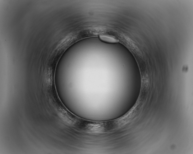 X0000101220170200806271456