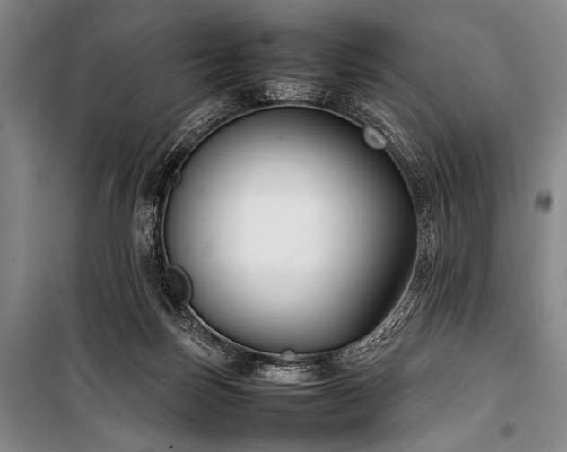 X0000101220171200806271456
