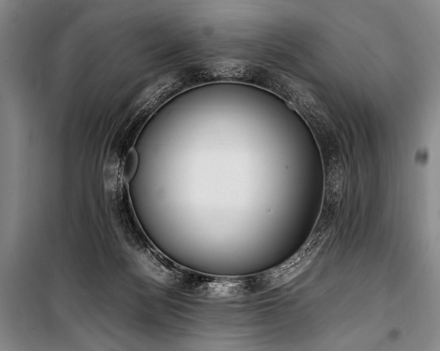X0000101220172200806271456