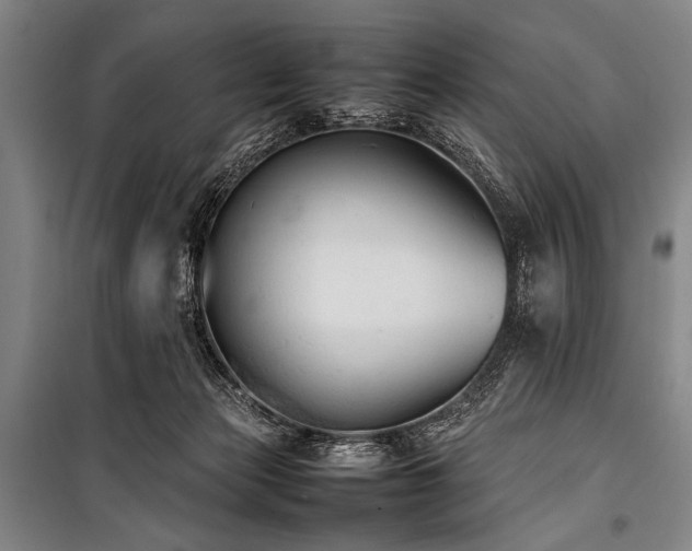 X0000101220173200806271456