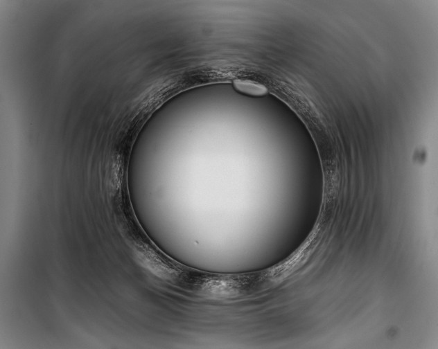 X0000101220174200806271456