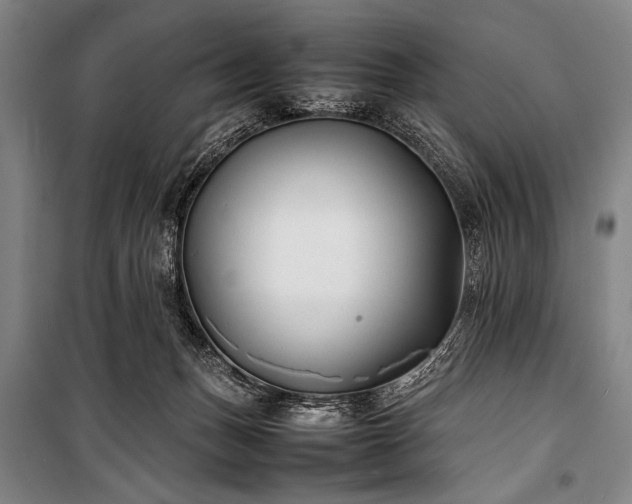 X0000101220175200806271456