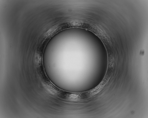 X0000101220176200806271456