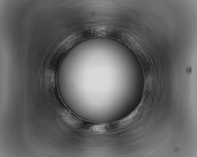 X0000101220178200806271456