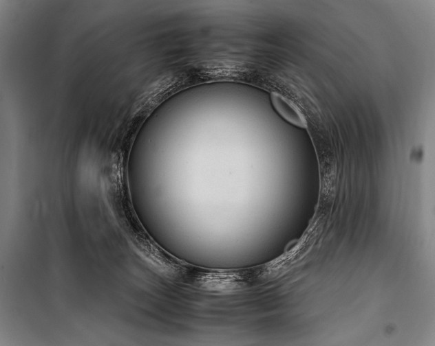 X0000101220179200806271456