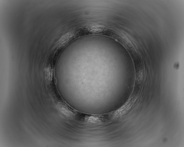 X0000101220180200806271456