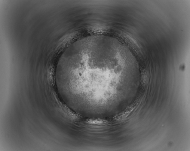 X0000101220181200806271456
