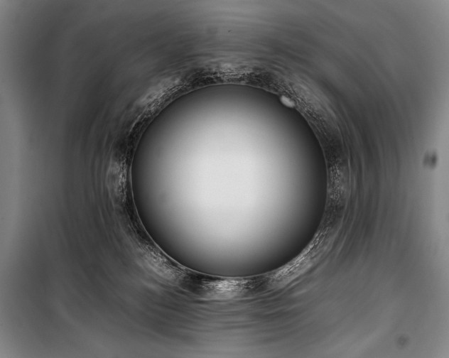 X0000101220184200806271456