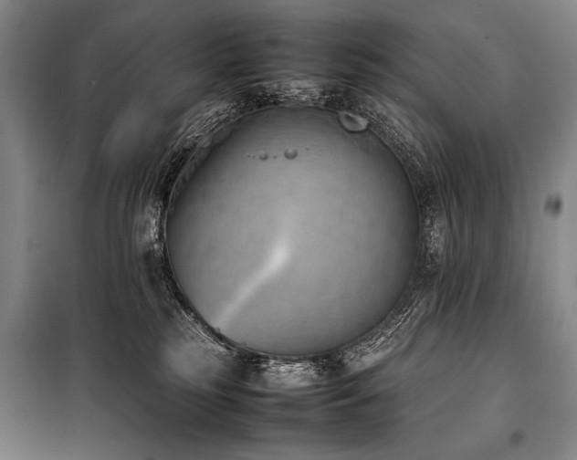 X0000101220185200806271456